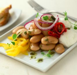 Bianchi di Spagna beans, mini mozzarella balls and dried tomato salad