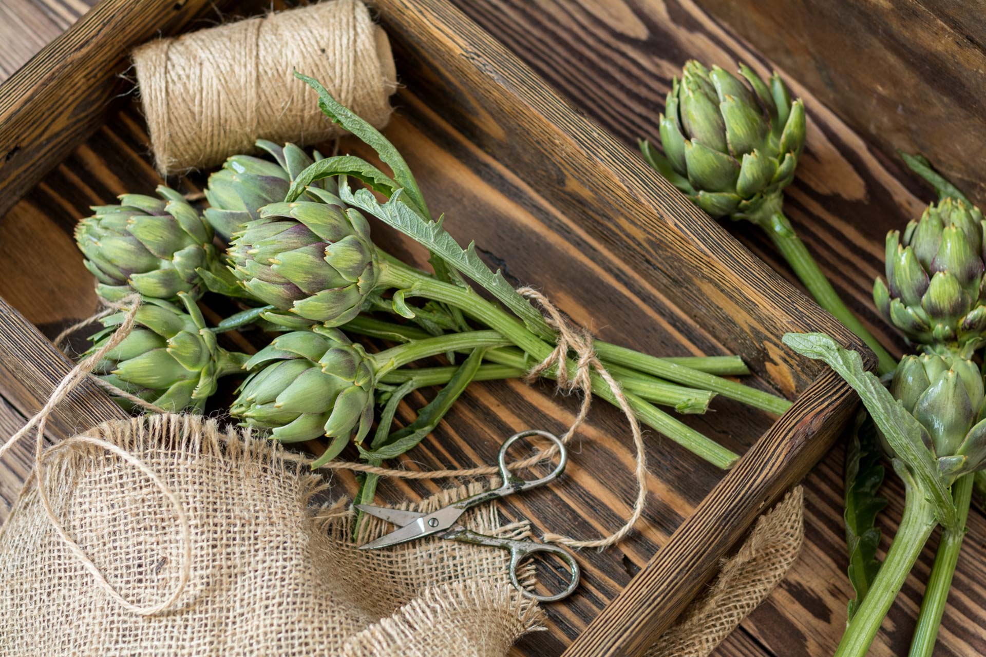 Carciofi Il Periodo Migliore Per Portarli In Tavola Valfrutta Magazine