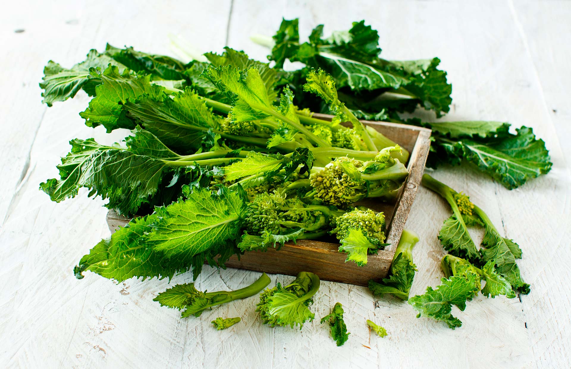Coltivare le cime di rapa dalla semina alla raccolta Valfrutta Magazine