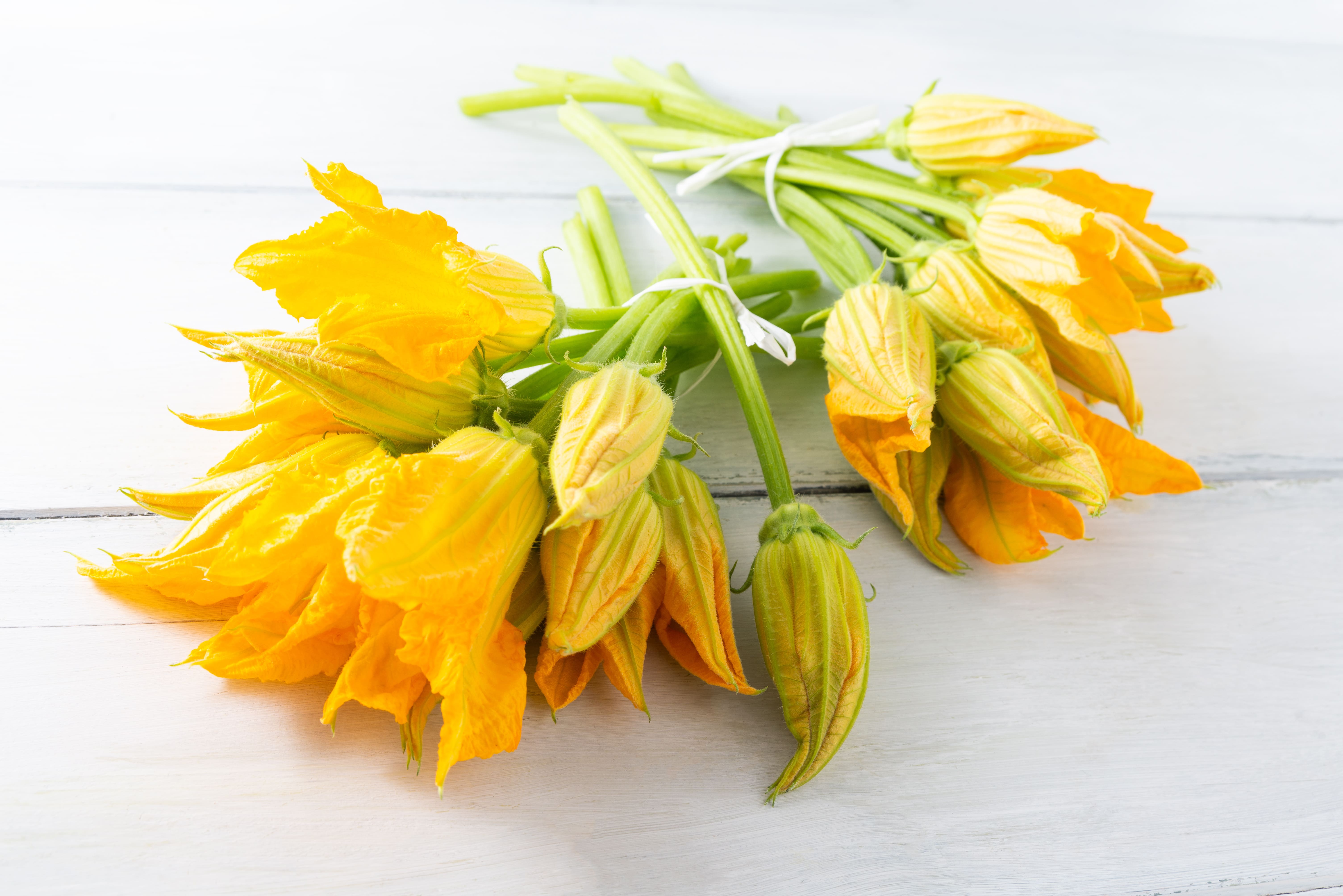 Conservare i fiori di zucca: congelati o essiccati, ecco i consigli - Valfrutta Magazine