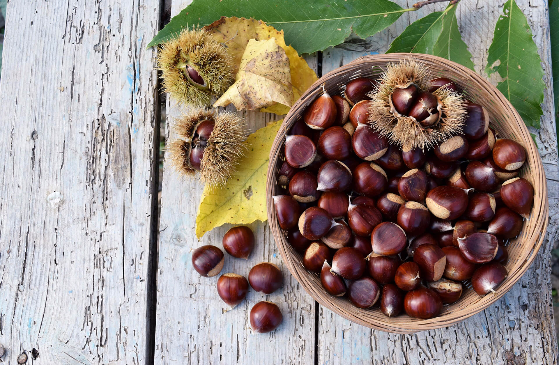 Cucinare le castagne: 5 idee per stupire a tavola ...