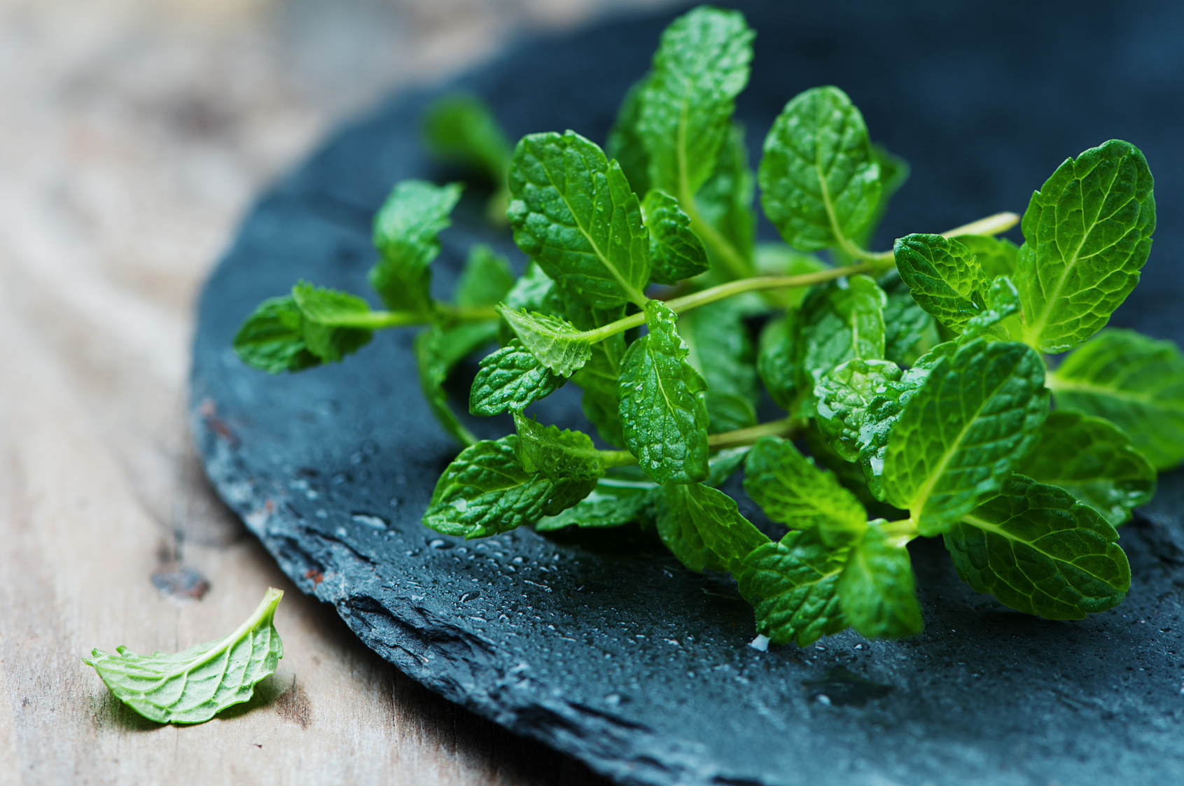 Mint. Мята минт. Mentha piperita фон. Мята высокоментоловая. Мята перечная Эстетика.