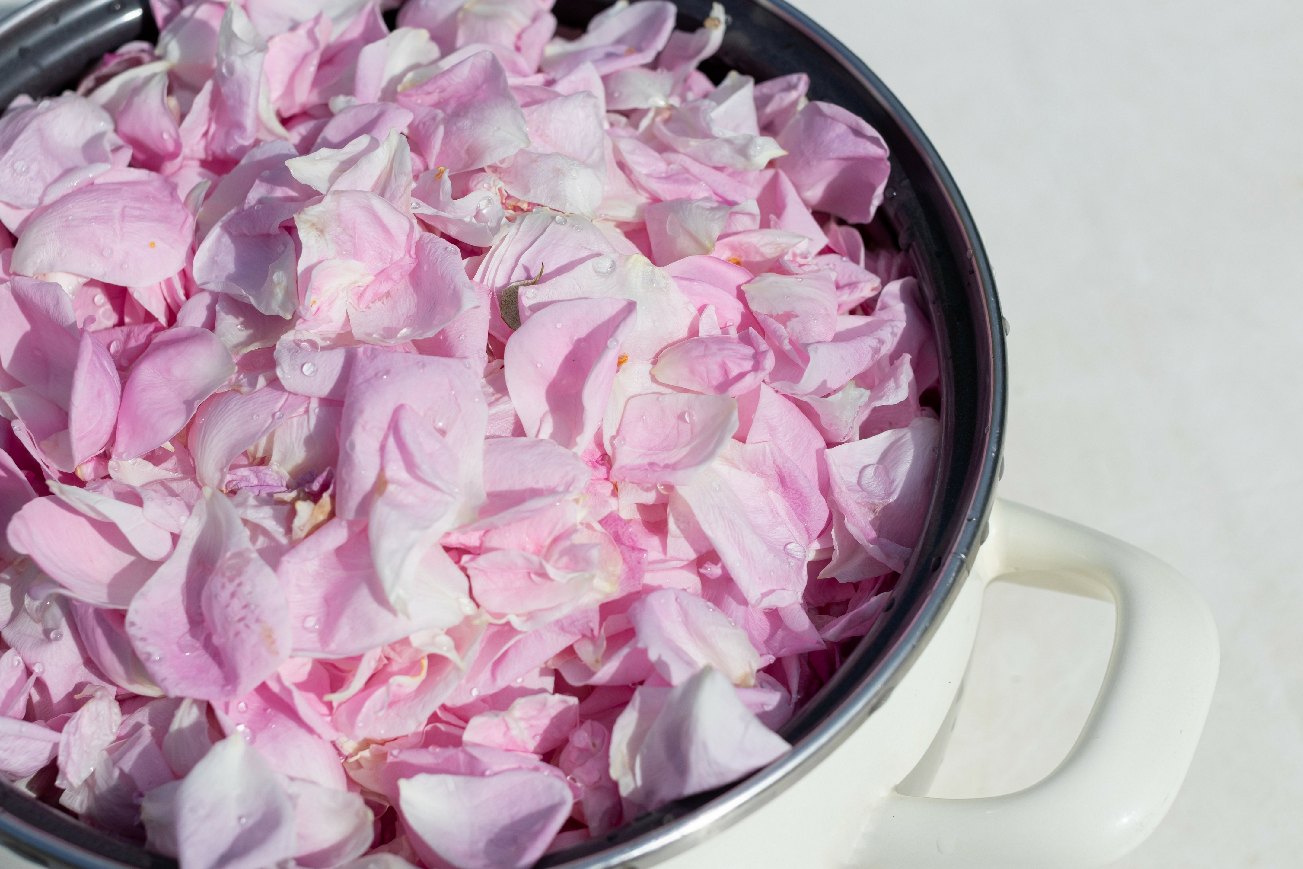 Petali di rosa: come utilizzarli in casa e in cucina - Valfrutta Magazine