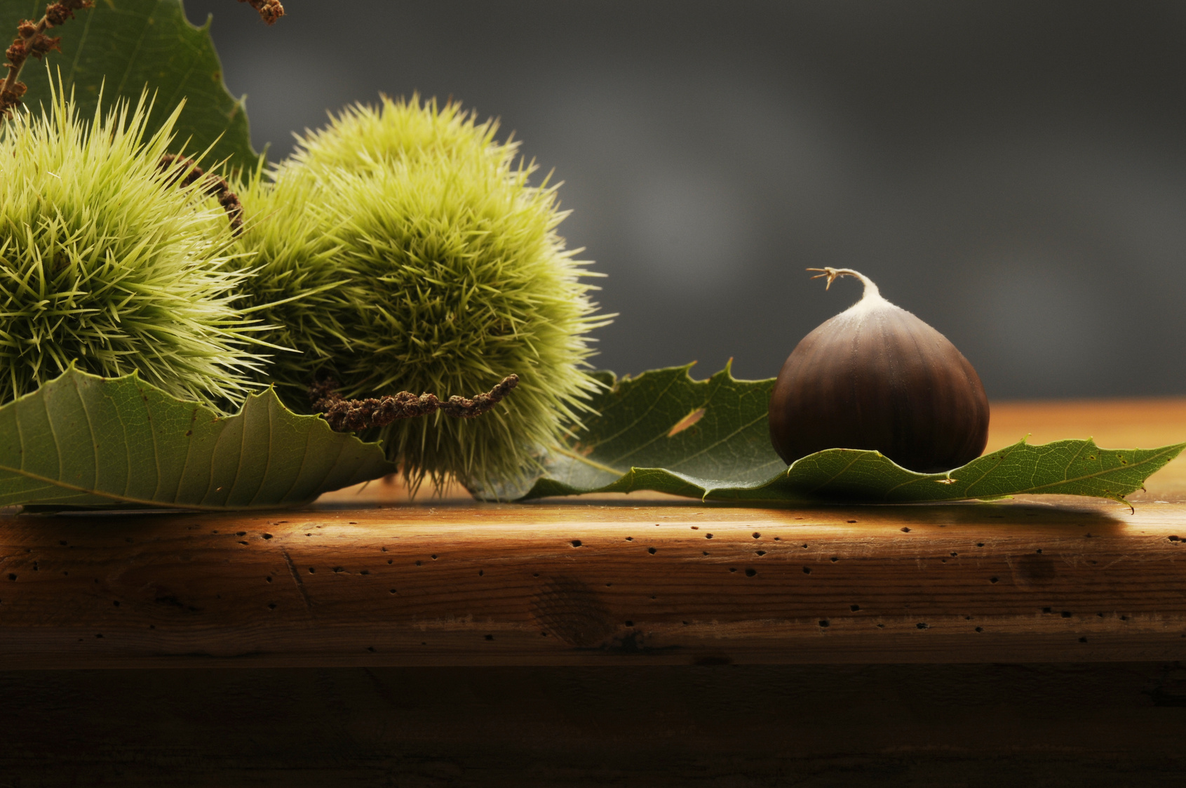 Come raccogliere e selezionare e conservare le castagne Valfrutta