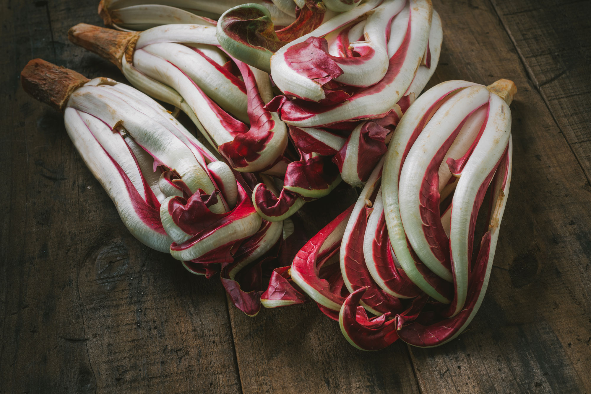 Radicchio di Treviso, preferite il precoce o il tardivo? - Valfrutta Magazine