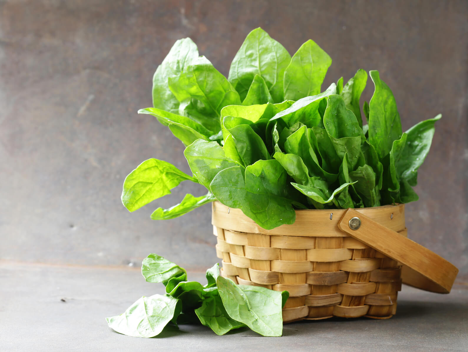 Differenza Tra Verdure E Ortaggi marernandez Differenza Tra Verdure E Ortaggi marernandez