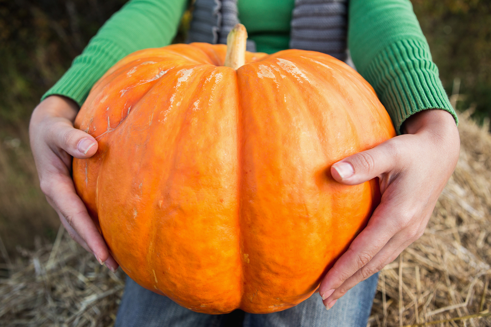 Come Raccogliere E Conservare La Zucca Valfrutta Magazine