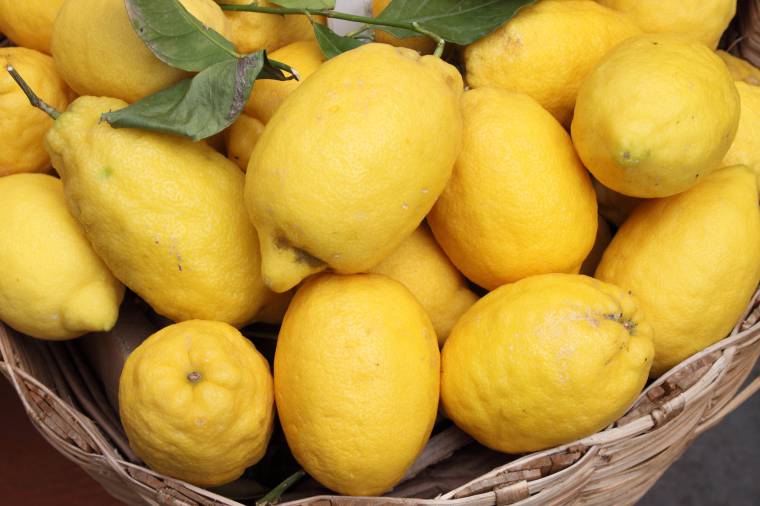 Benefici del limone: la varietà d'Amalfi
