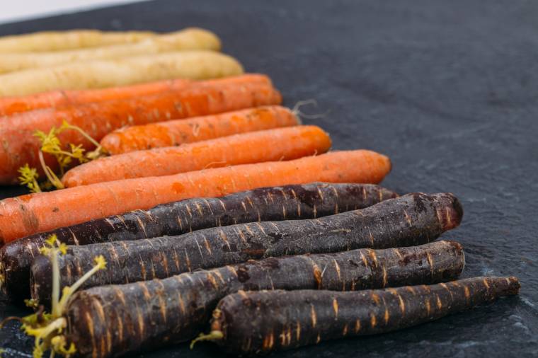 In Italia la carota nera si coltiva in Puglia