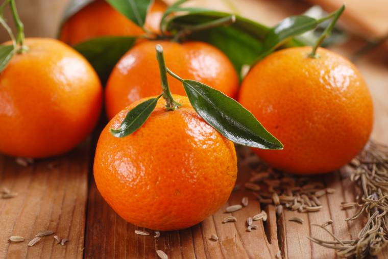 Le clementine di Calabria IGP trovano in questa regione del Sud un ambiente di crescita ideale
