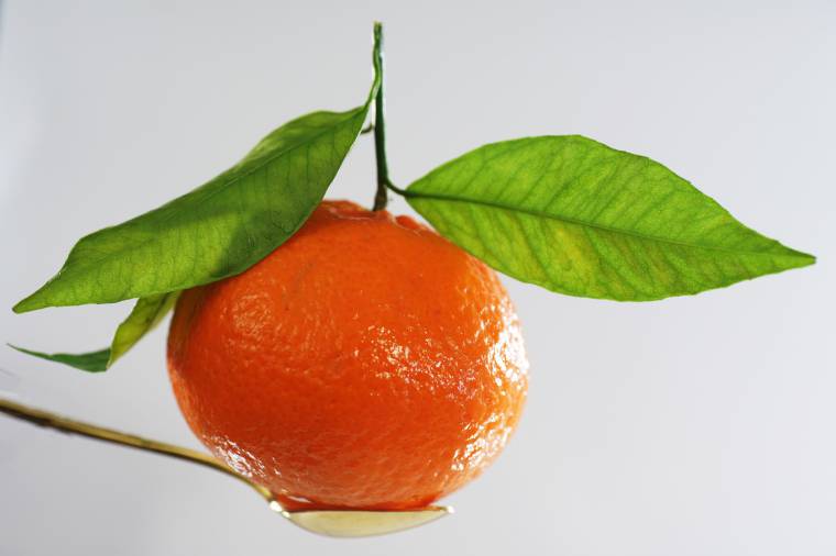 Coltivazione mandarino: benefici del frutto