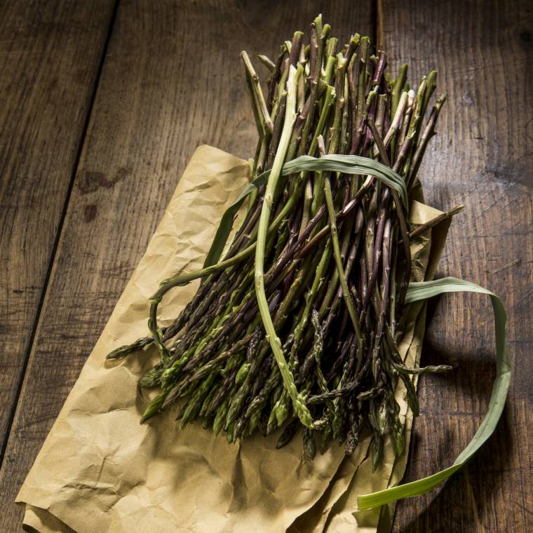 Cucinare asparagi selvatici: le differenze tra le varietà