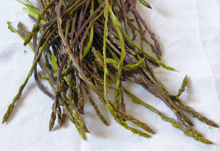Cucinare asparagi selvatici: come raccoglierli