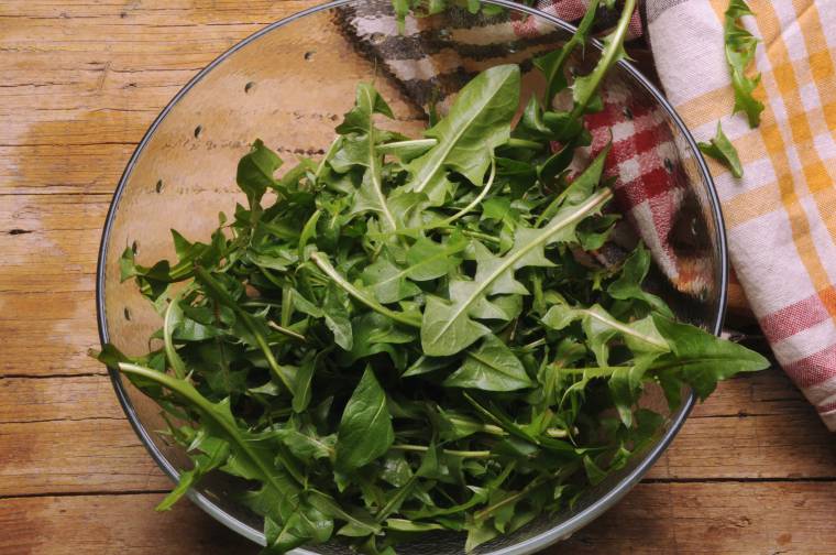 Misticanza: preparare l'insalata con il tarassaco