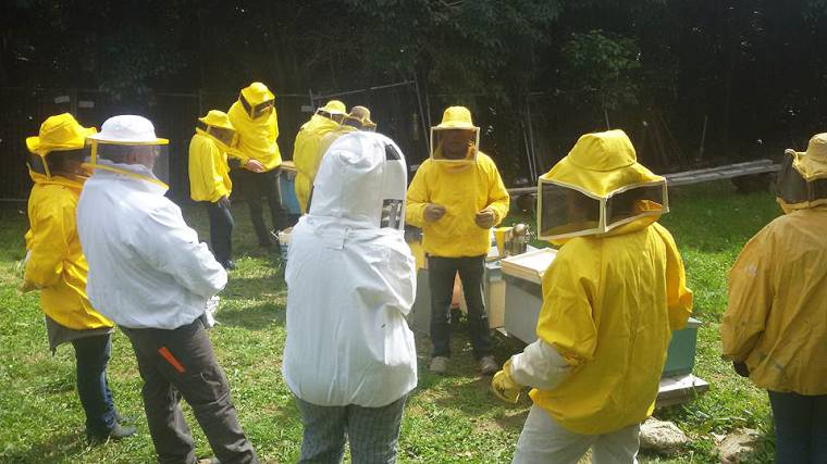orti urbani genova, si produce propoli e cera d'api