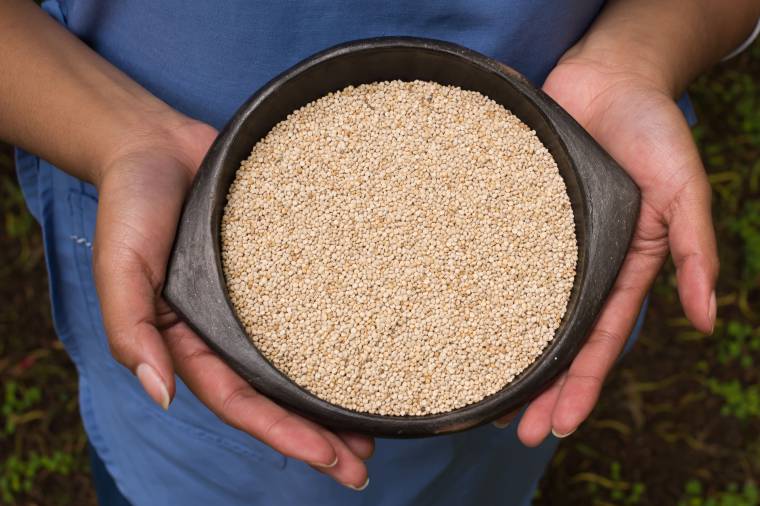 Le origini della quinoa