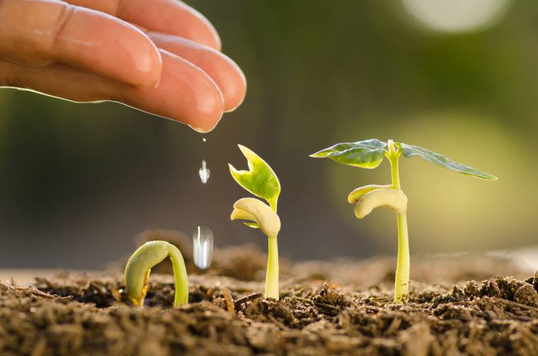 Il semenzaio e la semina anticipata: come curare il tuo orto - Valfrutta  Magazine