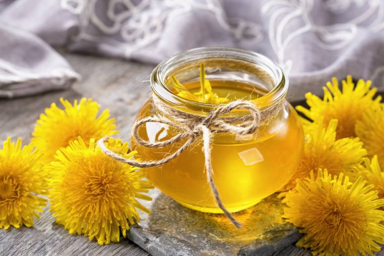 Tipi di miele: il tarassaco 