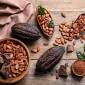 Cacao e dintorni