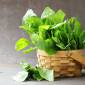 Spinaci, bietole e cicoria: le proprietà degli ortaggi a foglia